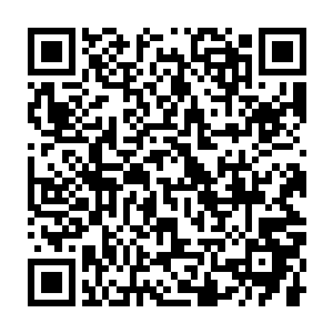 林烽得知寻宝鼠萌萌被李雨彤放出去探查这矿洞的地步究竟有什么状况二维码生成