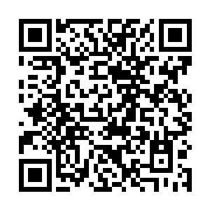 林烽怕自己的爸妈一时接受不了自己拿出这么多的钱来二维码生成