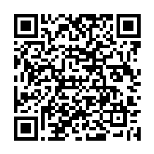 林烽早已经在千泷的飞速行驶下离开了那一片范围二维码生成