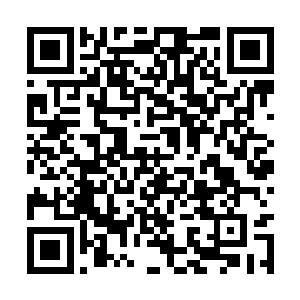 林烽极有可能成为今年我们闽省的高考理科状元呢二维码生成
