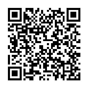 林烽的主要目的就是为了知道龙墓到底在什么地方二维码生成