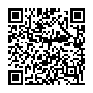 林烽的额头上有细细密密的汗水布满了整个额头二维码生成