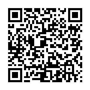 林烽知道自己母亲就是这么一个倔脾气又好强的人二维码生成