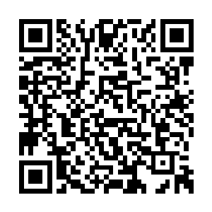 林烽突然发现自己的灵识竟然受到了阴气的干扰二维码生成