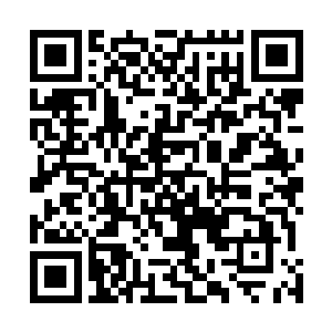 林狼已经将自己所知道的各种格斗之术给叶秋讲解了一遍二维码生成