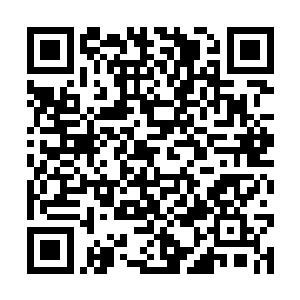林肯的B组几乎全是海军陆战队的直属侦察连退役士兵二维码生成