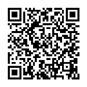 林萧羽的灵魂之海中还有一些是他想象出的画面二维码生成