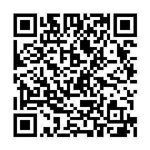 林董事长说具体的条件已经在电话里跟您谈好了二维码生成