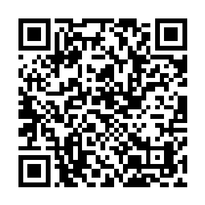 林辰从着刚巧经过的一支部队面前神色自若的迎面走了过去二维码生成