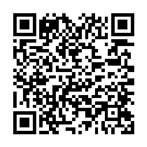 林辰发现马向阳居然已经在最前方的椅子上等待着自己二维码生成