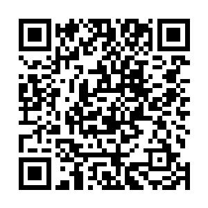 林辰将那被筛选而出的精纯灵气统统吸收在了自己的体内二维码生成