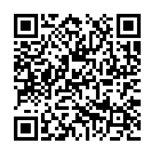 林辰转头对着司徒寻磊露出一副诡异的笑容开口道二维码生成