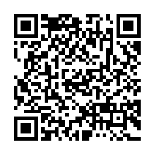 林钧的秘书林孝天也算是市委办里资格比较老的秘书了二维码生成