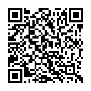 林铭却如同瞬移一般出现在一个深海妖修的身后二维码生成