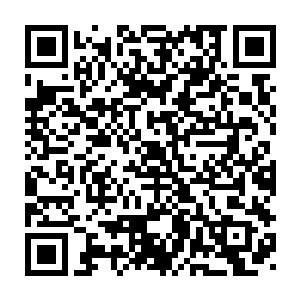 林铭在此之前完全没有想到邪神种子会像真正的种子那样生根发芽二维码生成