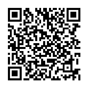 林铭将干瘦老者的无主灵魂毫不客气的收入魂海二维码生成