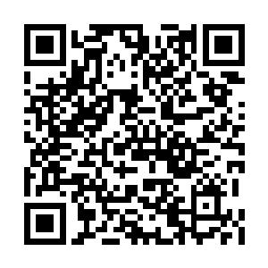 林铭所在的地面被那巨魔尊主一刀砍得爆裂开来二维码生成