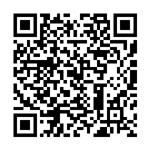 林铭身上缠绕着的那些影响他速度的冤魂早被冲的无影无踪二维码生成