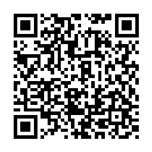 林锐刚才如果迫不及待推开围栏准备冲出去的话二维码生成