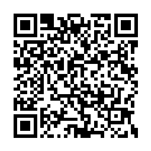 林锐和几个佣兵在车上和天线上都安装了爆炸物二维码生成