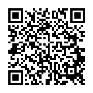 林锐手下的佣兵突击队员几乎都是经过了严格训练的高手二维码生成