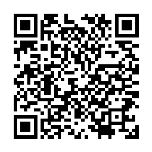 林锐等人在红石镇外的八公里之外的荒野里休整了片刻二维码生成