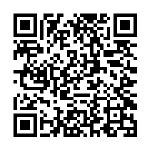 林锐等人都在脸上和颈脖处都喷涂了不少的防虫药水二维码生成