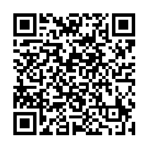 林锐等人飞快将枪口对准了那些手里有枪的武装分子二维码生成