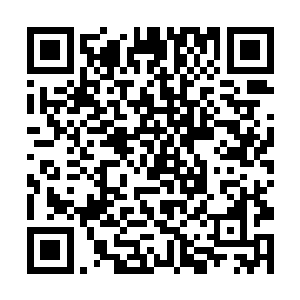 林雪此刻自然也是看到了身旁老者右眼之上的熊猫眼二维码生成