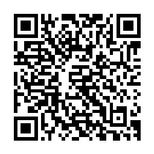 林飞那个家伙这一次对于晶姐来魔都学习这件事也是非常的支持二维码生成