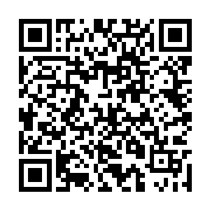 果不其然很快这些魅影便是朝着队伍这边飞了过来二维码生成