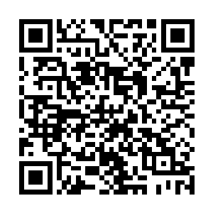 果不其然有一条奄奄一息的狗崽子躺在坚硬的岩石地上二维码生成