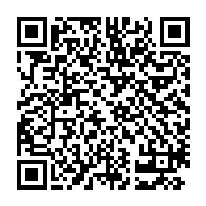 果不其然阮子玥一见到她一直心仪却舍不得买的翡翠镯子两眼都放光了二维码生成