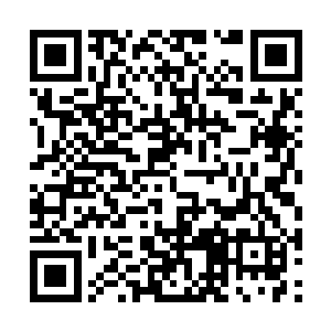 果不是松山军府储备了足够多帮助冥想恢复的晶石二维码生成