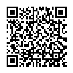 果然一走进内屋她就看到洛婉凝心神不宁的坐在那里假装喝茶二维码生成