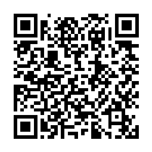 果然不愧是本本尊选中的最有机会成就永恒至尊的修者二维码生成