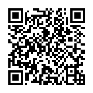 果然不是星辰大陆这种低级大陆的后辈天才能够相提并论二维码生成