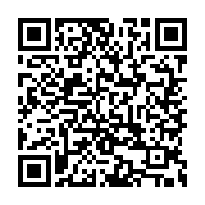 果然就看到了正脸色不善朝自己这边而来的白凤二维码生成