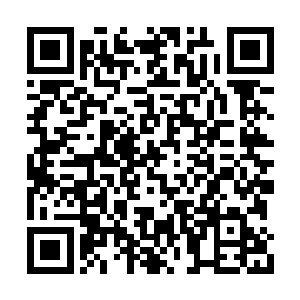 果然是阿元和因田并王倾一一同往这个方向赶来二维码生成