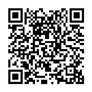 果然有不少人觉得金梁是在欺负打压有威胁的新人二维码生成
