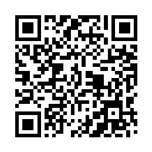 果然机票和出境手续都已经办理妥当二维码生成