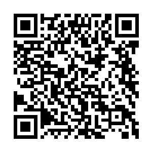 果然见漠北皇一个人坐在贺兰婧以前居住的地方二维码生成