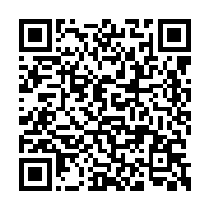 果然这里的仙元力要比外面的中元星系浓郁数倍二维码生成