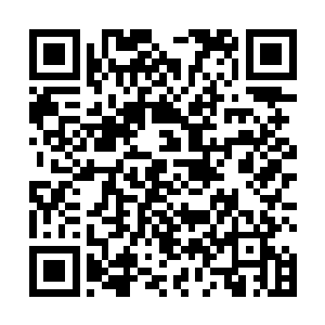 果然龙傲天的一句话将龙傲风的注意成功的吸引了过来二维码生成
