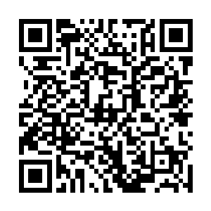 果真一点一点的将那地龙的身子给扯开了老大一个口子二维码生成
