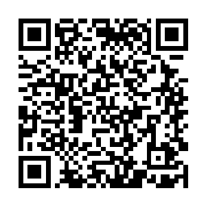 枣枣跟柳儿以及戴彦歆几人知道这事也都说不要这钱二维码生成