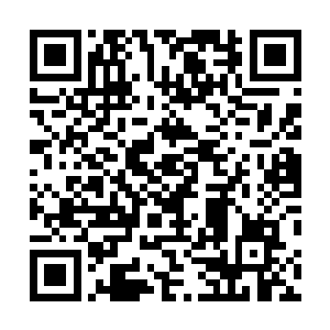 枪口有些徒劳的朝着已经超过一千五百米的巴克那边锁定二维码生成
