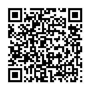 枯老的身躯内迸发出丝毫不逊于返虚两层境的力量二维码生成