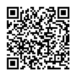 枯骨教统辖的上千里方圆地盘也尽数落入县衙辖区二维码生成