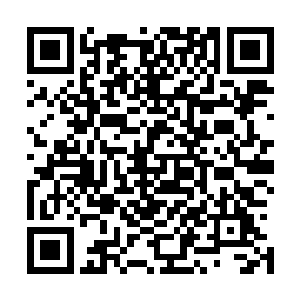 某处不知道哪个不愿意从乱起事的禁军军将的宅邸被点燃了二维码生成